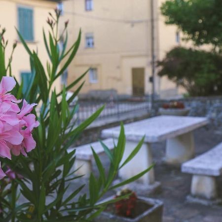 Casa Con Giardino In Mugello A 30 Minuti Da Firenze "Soleluna" Osteria di Novoli Εξωτερικό φωτογραφία